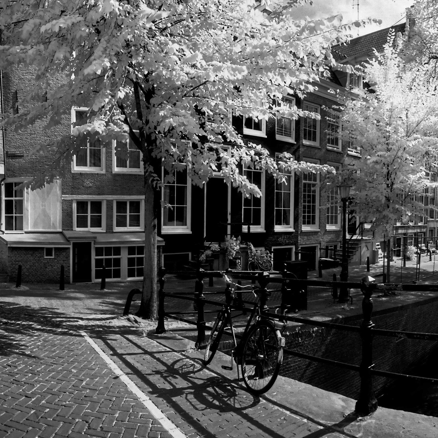 Infrared Amsterdam - Panorama Wide - Limited Edition