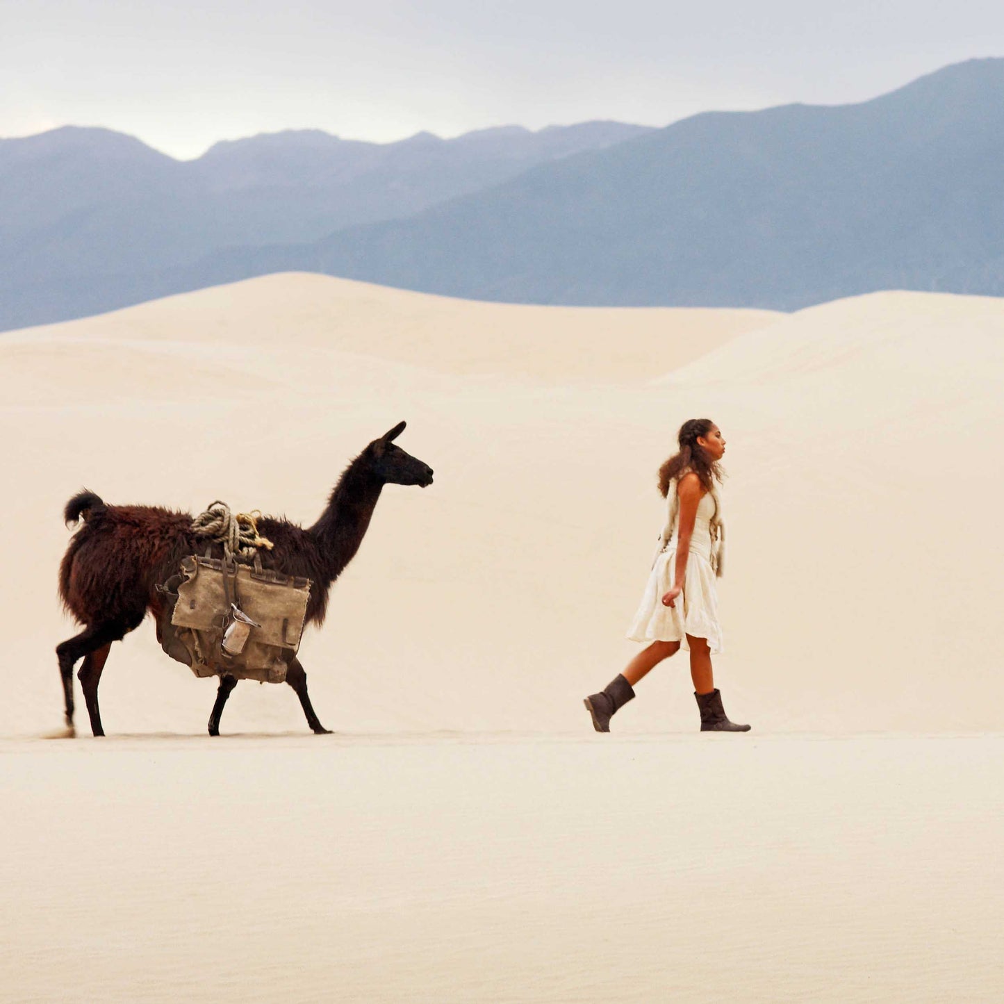 Desert Dwellers - Limited Edition