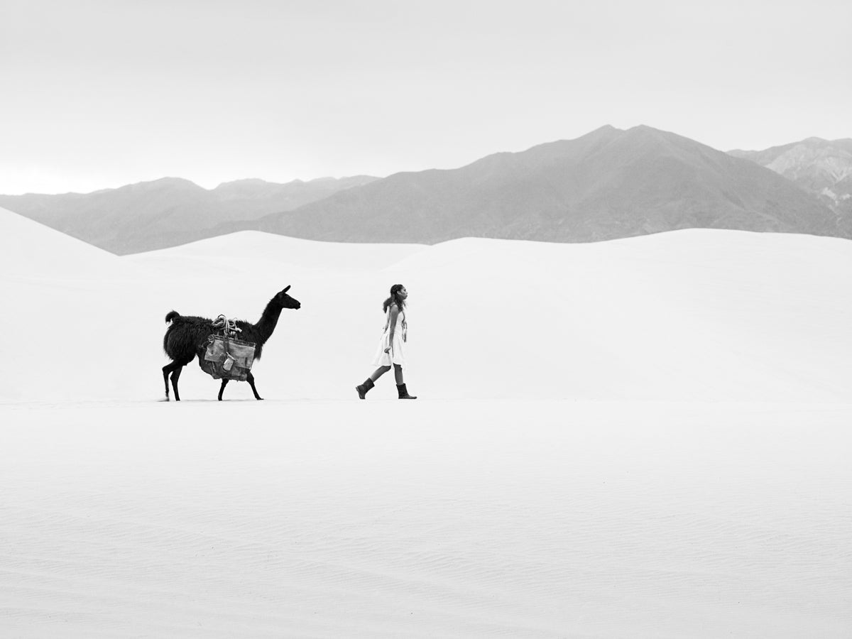 2270335 :: Giclée Fine Art Matte Paper Print