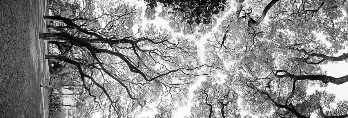 2270514 :: Giclée Fine Art Matte Paper Print