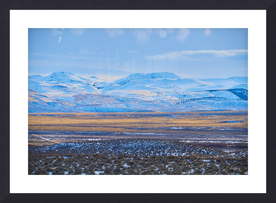 2288291 :: Framed Print
