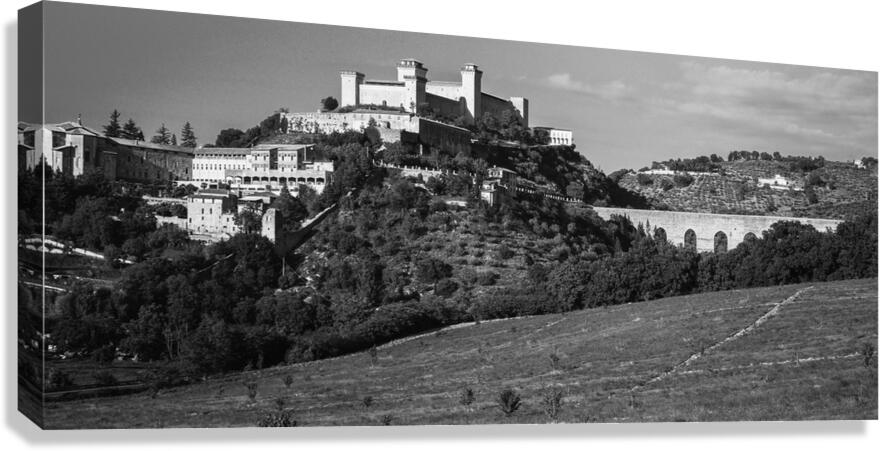 2270467 :: Giclée Stretched Canvas Print