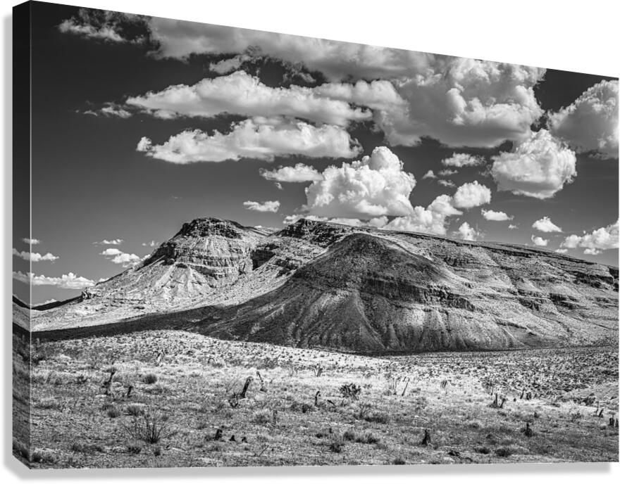 2288284 :: Giclée Stretched Canvas Print