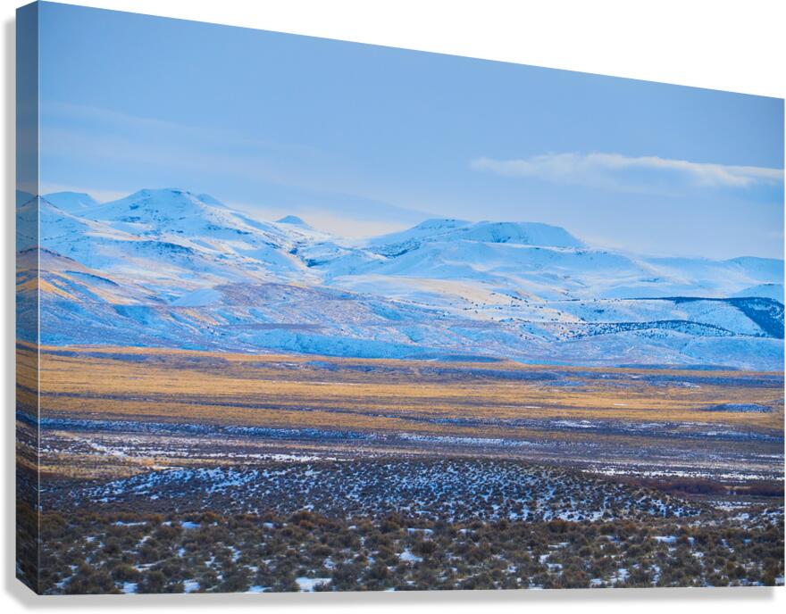2288291 :: Giclée Stretched Canvas Print