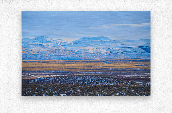 2288291 :: Brushed Metal Print