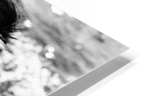 2269519 :: HD Sublimation Metal Print