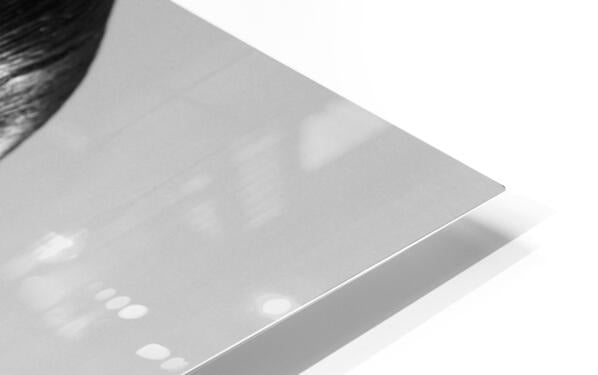 2270931 :: HD Sublimation Metal Print