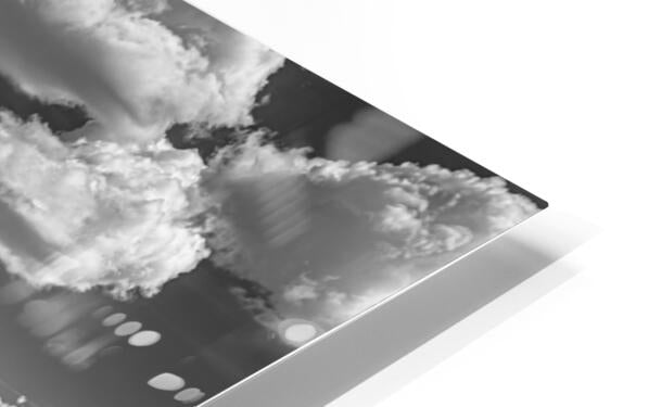 2288284 :: HD Sublimation Metal Print