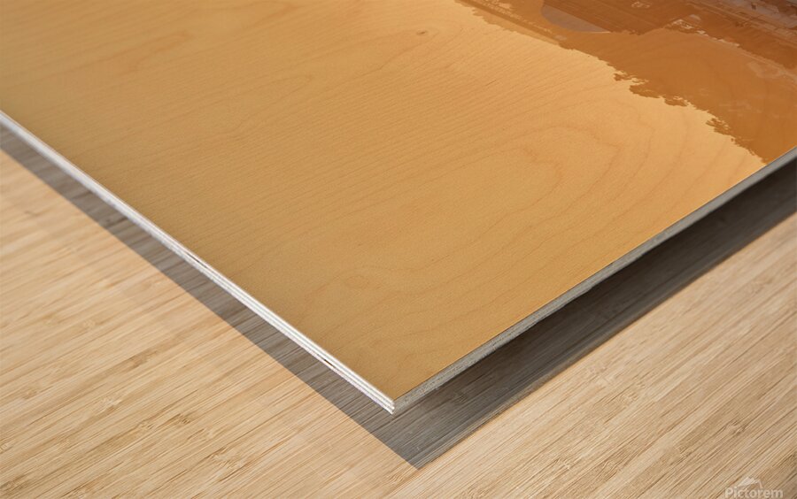 2252951 :: Wood Print