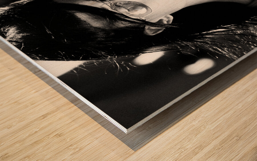 2270430 :: Wood Print