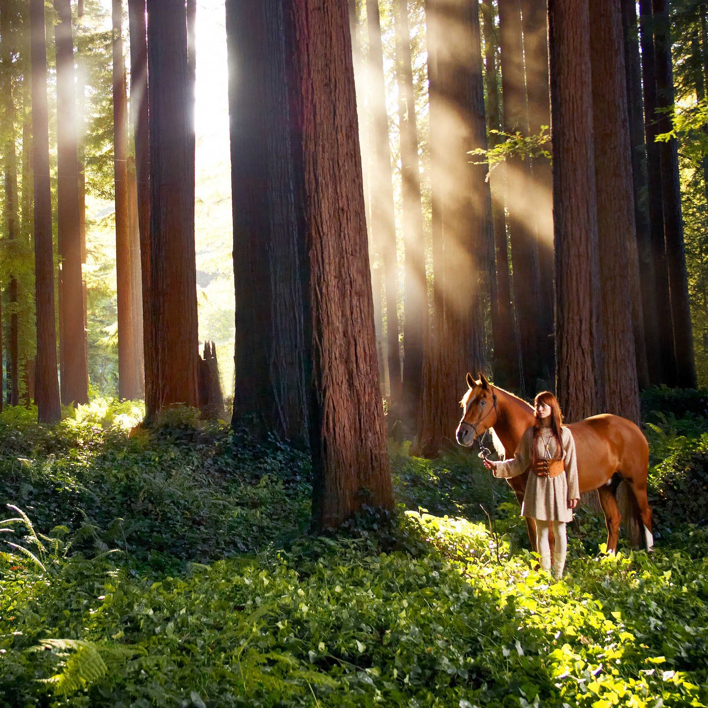 Redwoods Elf I - Limited Edition