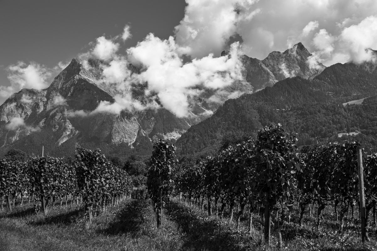 2270939 :: Giclée Fine Art Matte Paper Print