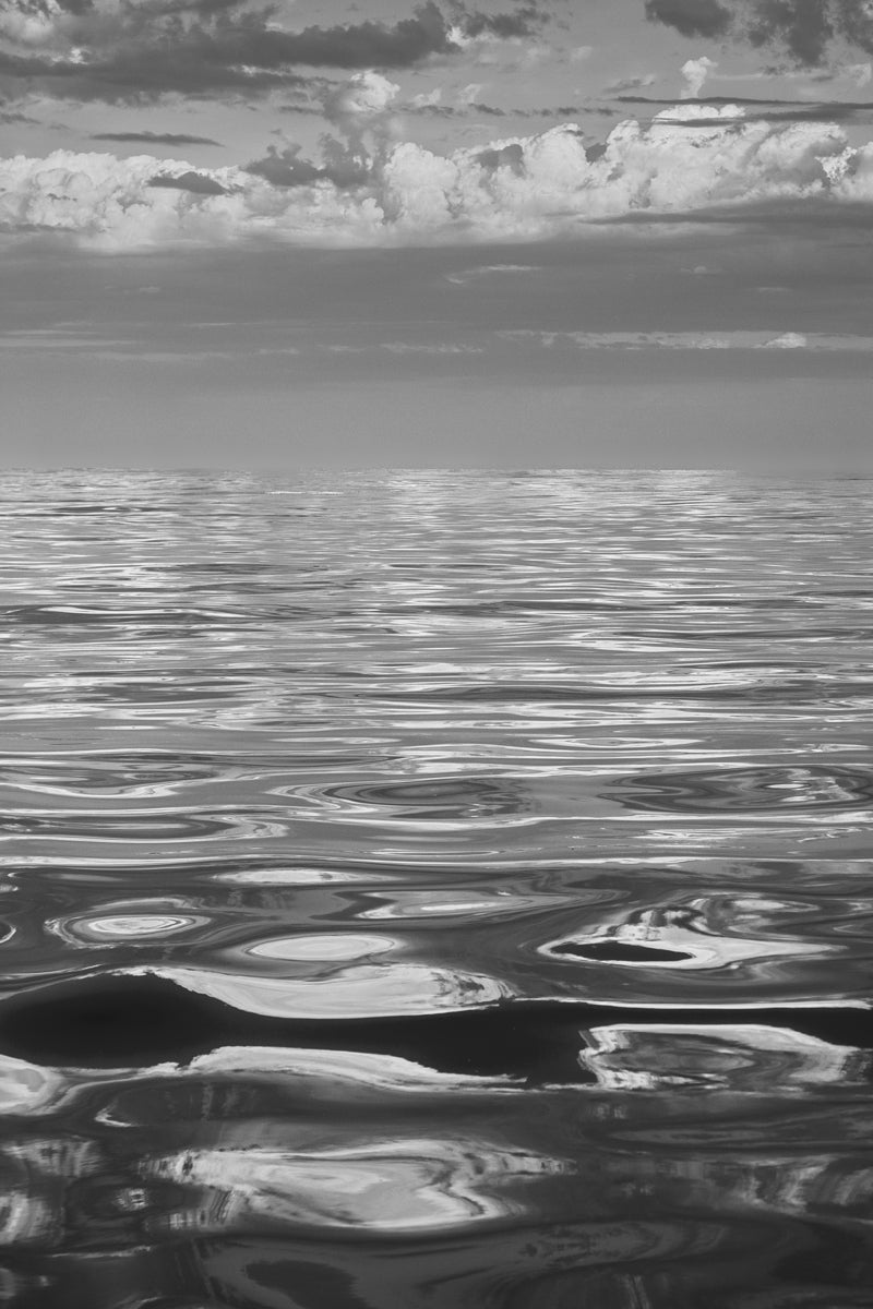 2270947 :: Giclée Rolled Canvas Print