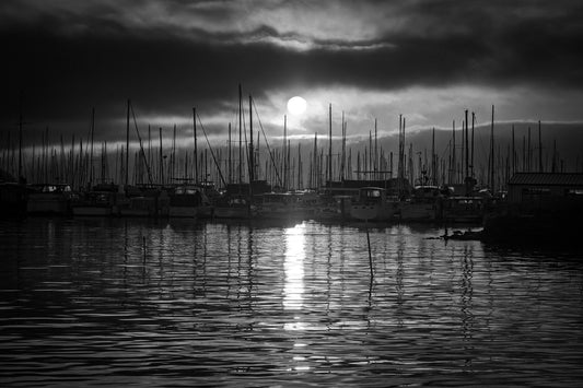 2270377 :: Giclée Fine Art Matte Paper Print