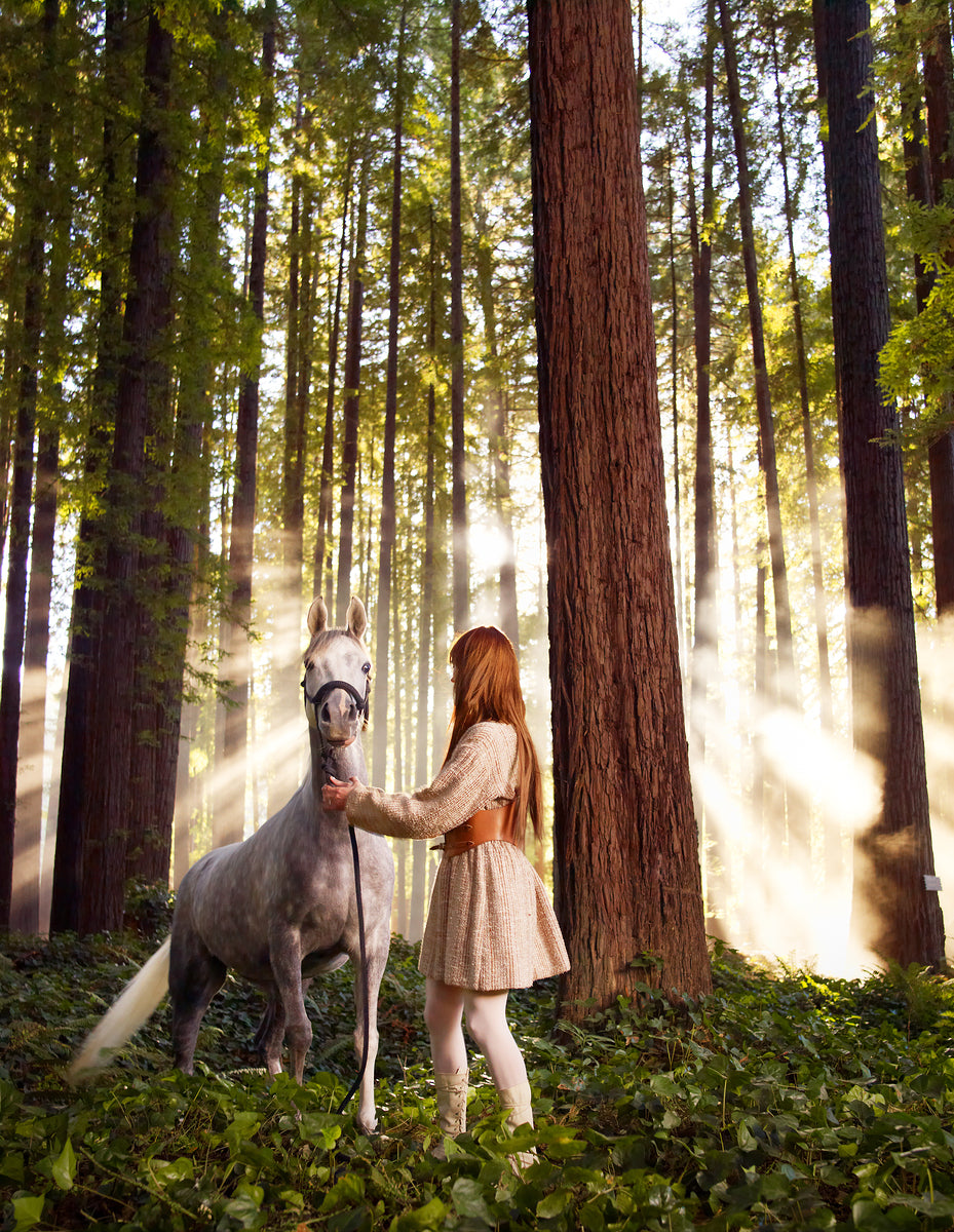 2252996 :: Giclée Poster Satin Photo Paper Print