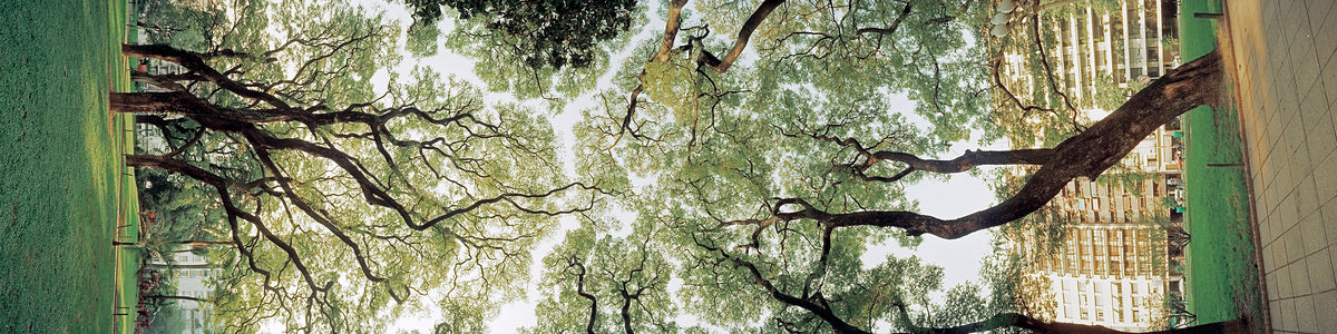 2253093 :: Giclée Fine Art Matte Paper Print