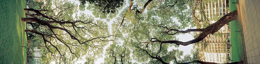 2253093 :: Giclée Fine Art Matte Paper Print