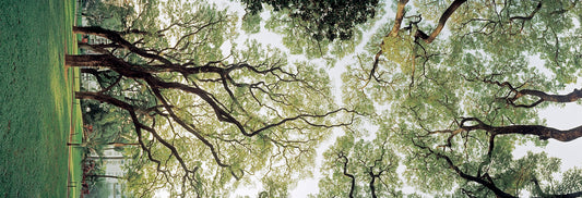 2269678 :: Giclée Fine Art Matte Paper Print