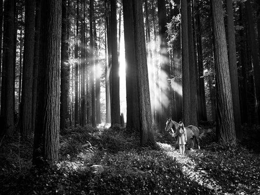 2270330 :: Giclée Fine Art Matte Paper Print