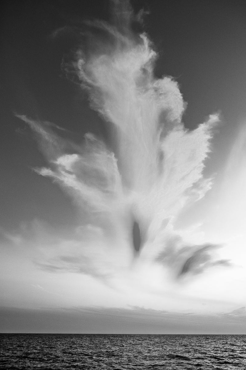 2270914 :: Giclée Fine Art Matte Paper Print