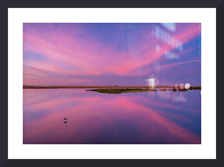 2252956 :: Framed Print