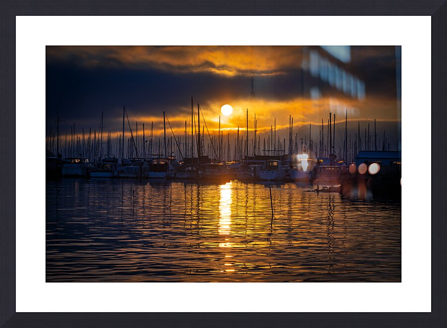 2252957 :: Framed Print