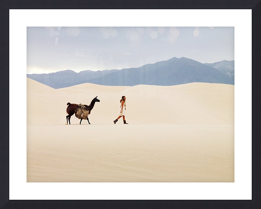 2252989 :: Framed Print