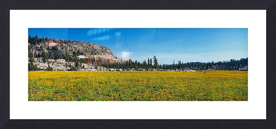 2253025 :: Framed Print