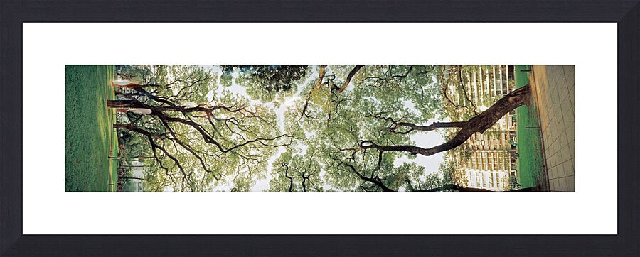 2253093 :: Framed Print