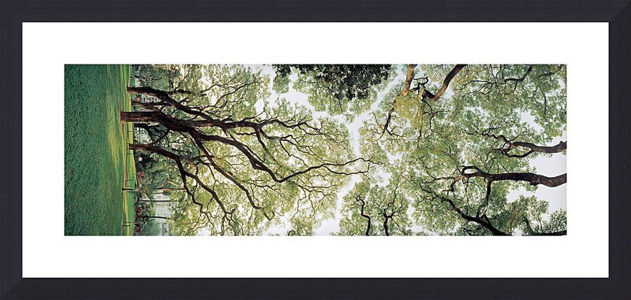 2269678 :: Framed Print