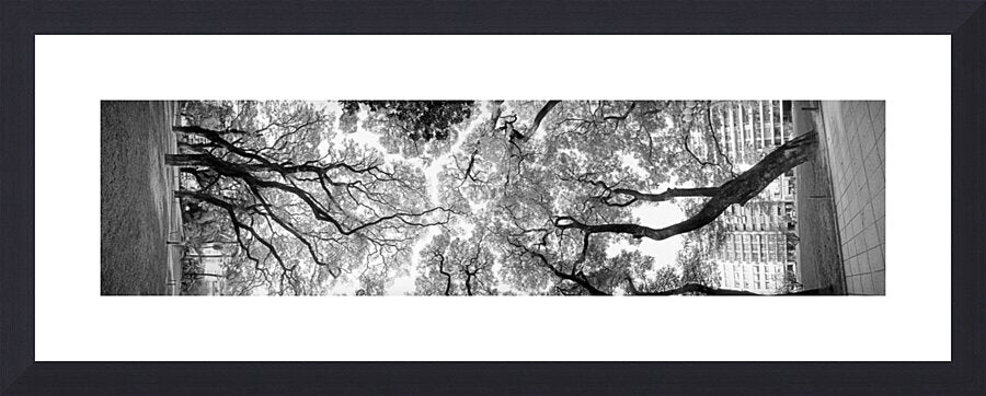 2270448 :: Framed Print