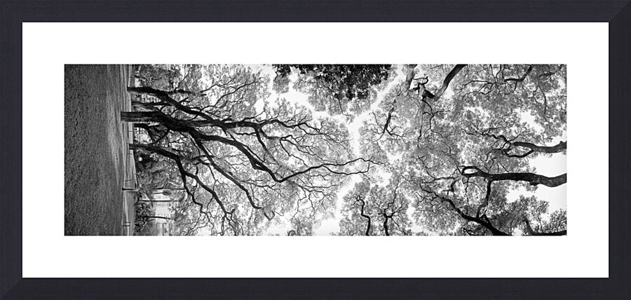 2270514 :: Framed Print