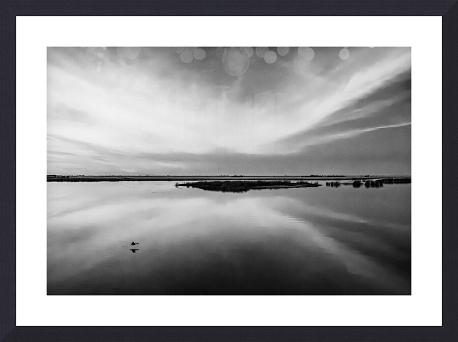 2270965 :: Framed Print