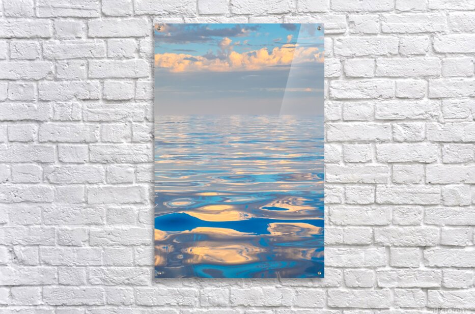 2249565 :: Acrylic Print