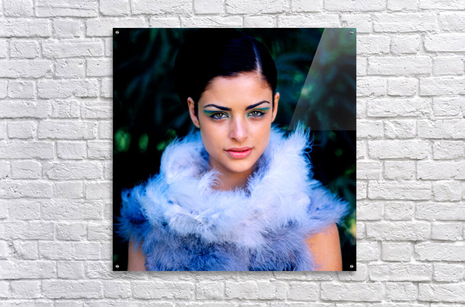 2249588 :: Acrylic Print