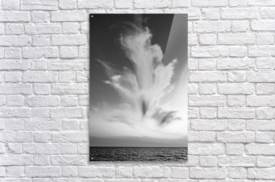 2270914 :: Acrylic Print