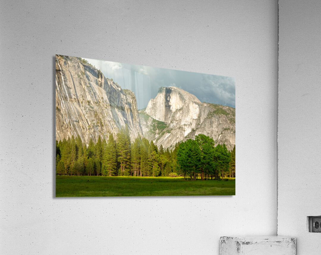 2253006 :: Acrylic Print