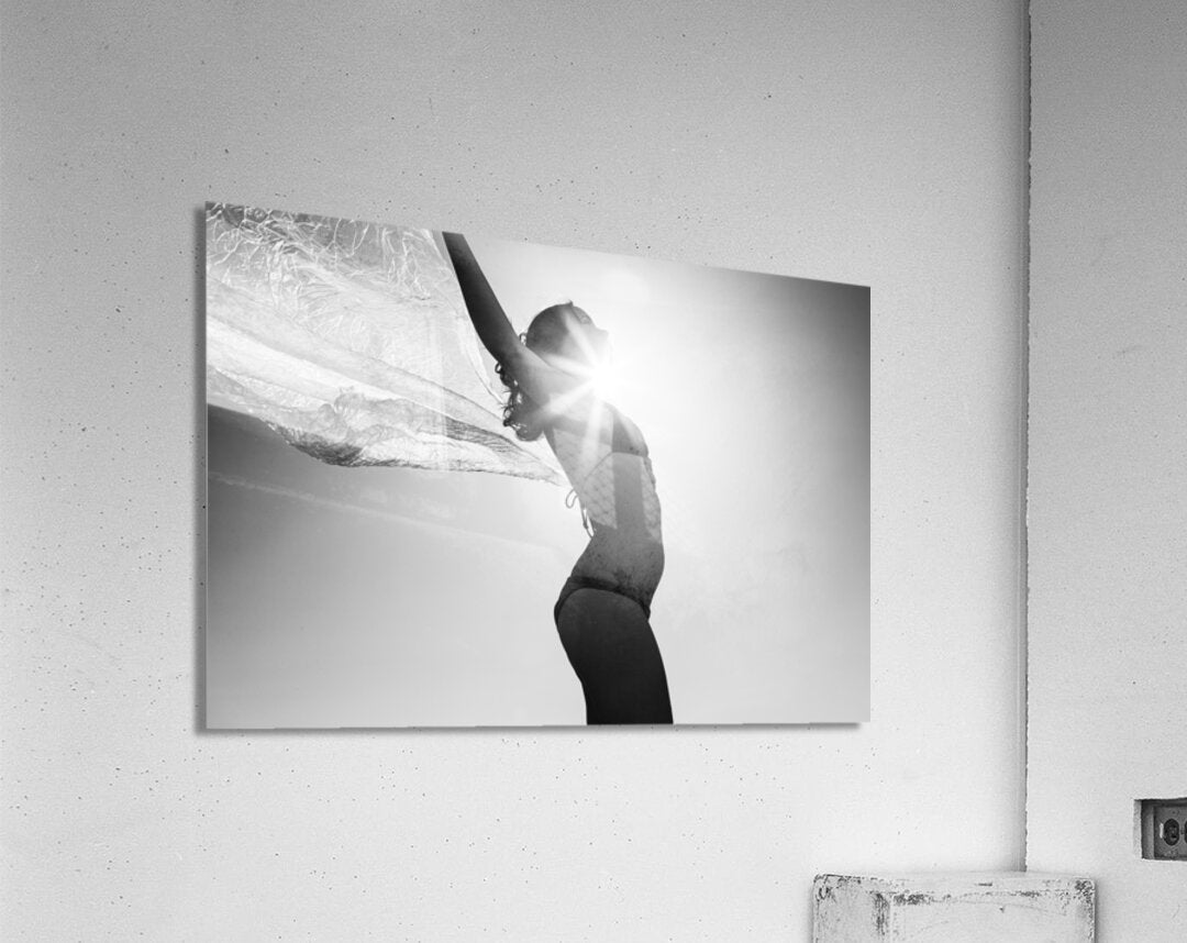 2270964 :: Acrylic Print