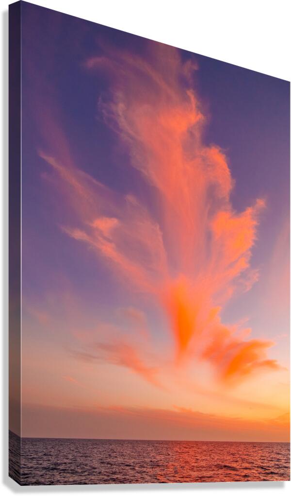 2249590 :: Giclée Stretched Canvas Print