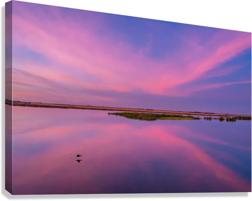 2252956 :: Giclée Stretched Canvas Print