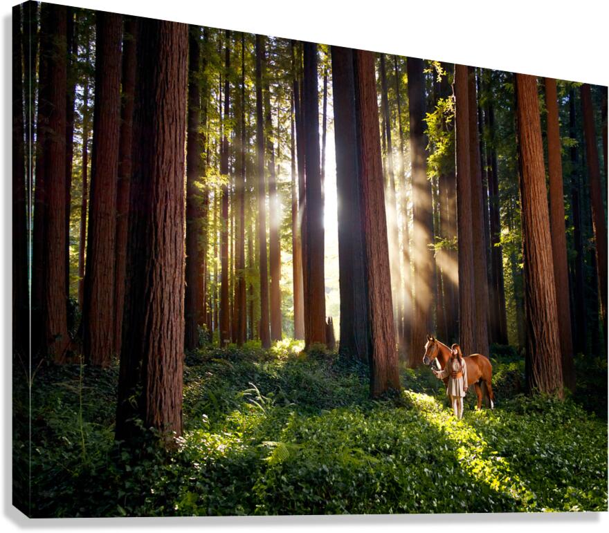 2252995 :: Giclée Stretched Canvas Print