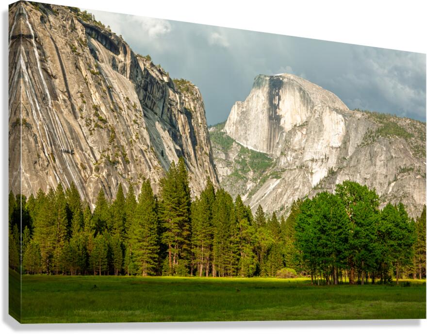 2253006 :: Giclée Stretched Canvas Print