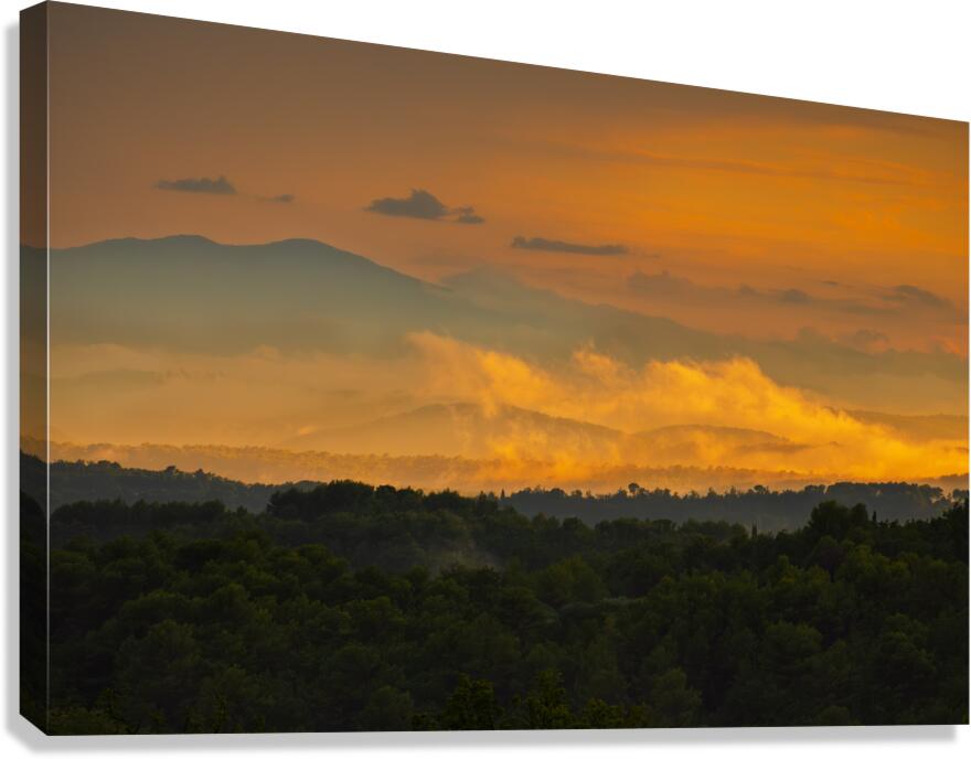 2264286 :: Giclée Stretched Canvas Print