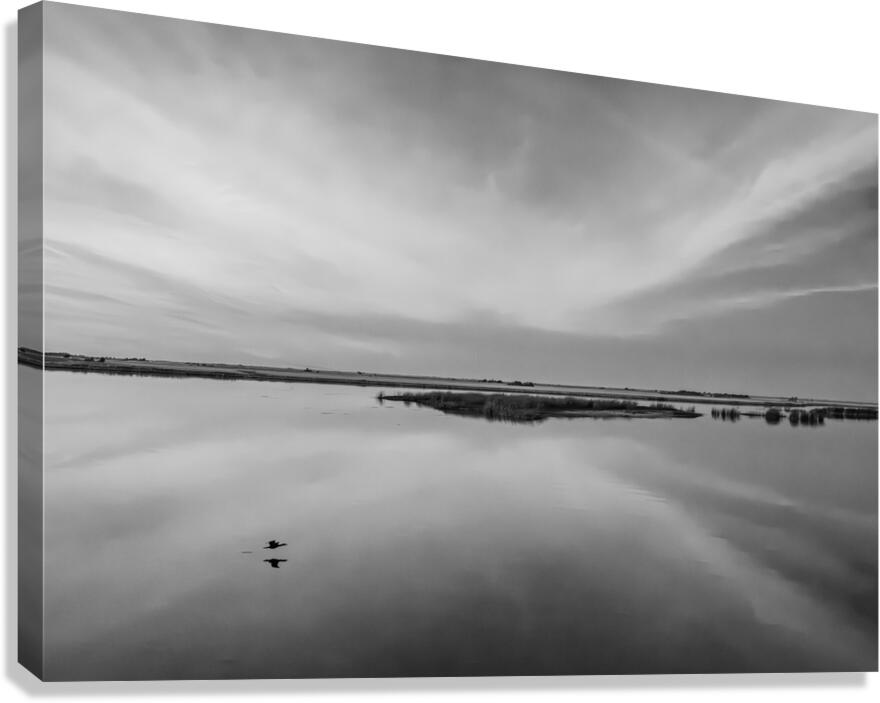 2270306 :: Giclée Stretched Canvas Print