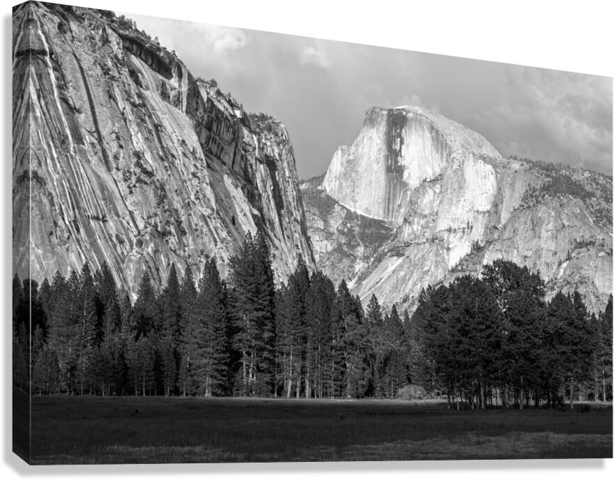 2270314 :: Giclée Stretched Canvas Print