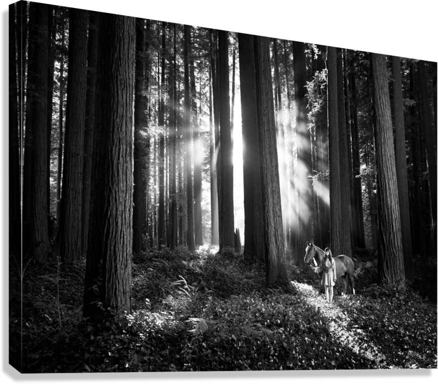 2270330 :: Giclée Stretched Canvas Print