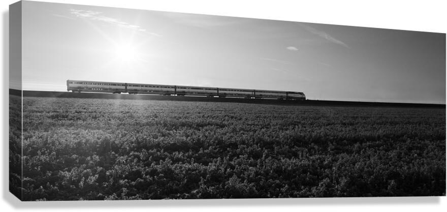 2270472 :: Giclée Stretched Canvas Print