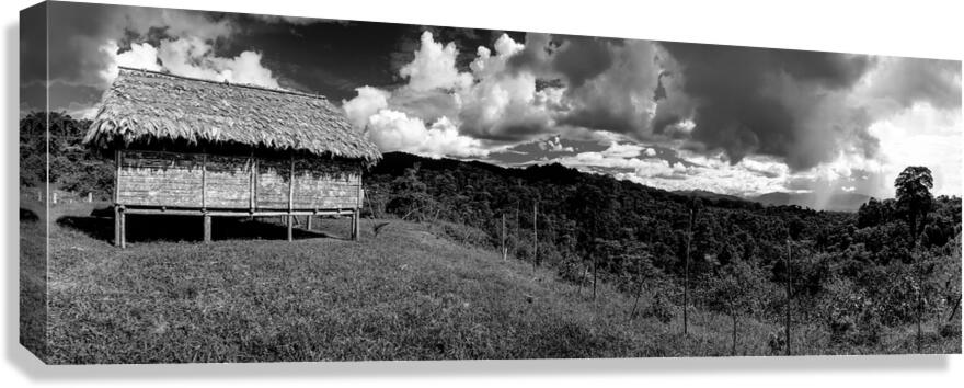 2270559 :: Giclée Stretched Canvas Print