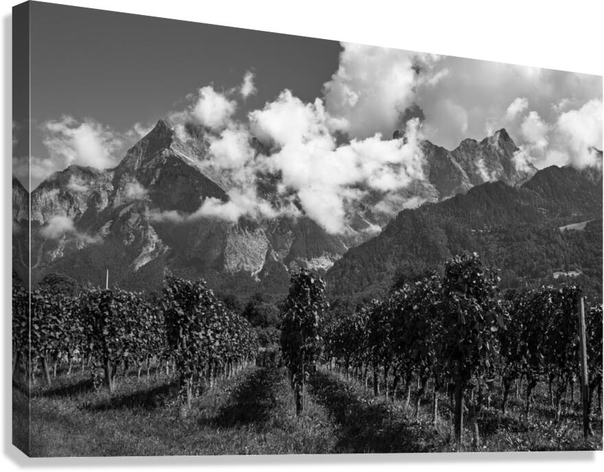 2270939 :: Giclée Stretched Canvas Print