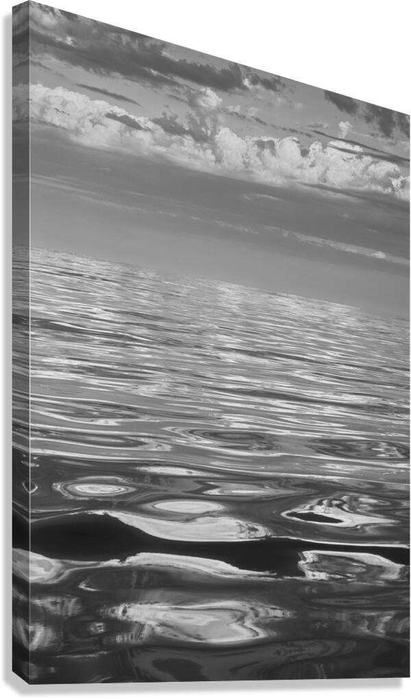 2270947 :: Giclée Stretched Canvas Print